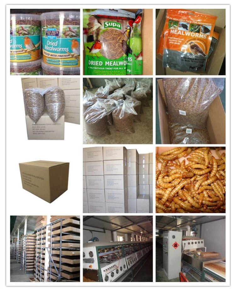 Mircrowave dried mealworms