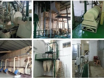 Factory Scale and Environment Factory Scale and Environment