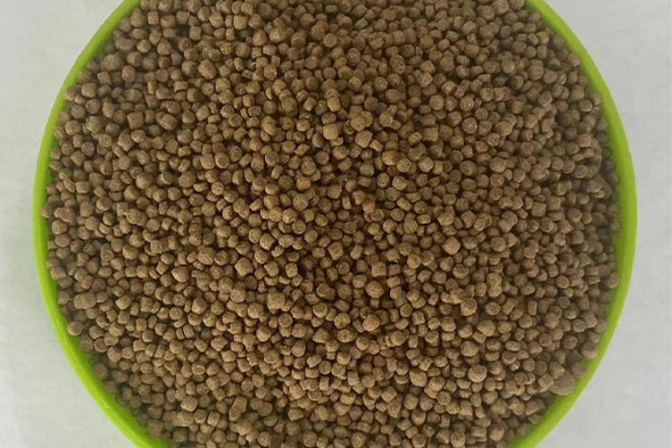 Aqua Plus silvereyes bird feed Aqua Plus silvereyes bird feed