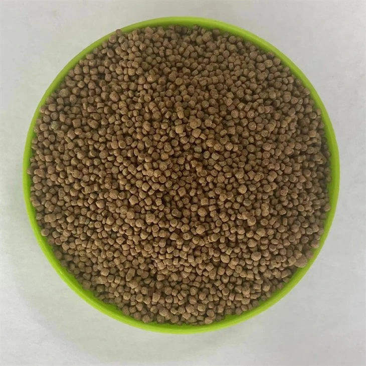 Thrushes Bird Food Thrushes Bird Food