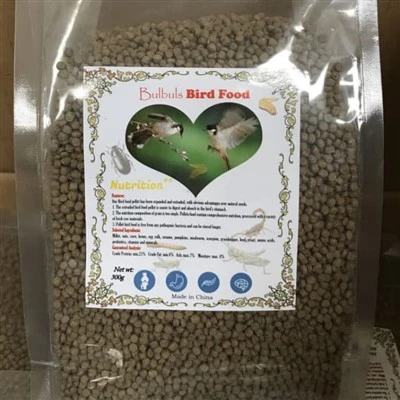অসাধারণ বুলবুল বার্ডস ফিড